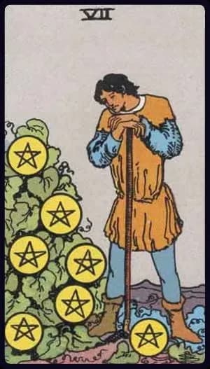 Seven of Pentacles — Tarot Card Meaning